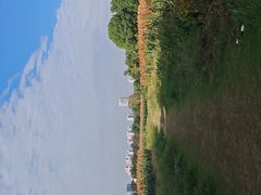 -尚贤河湿地