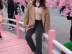 -金茂览秀城