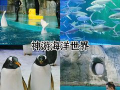 -威海华夏城景区