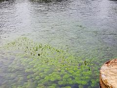 -靖西鹅泉风景区