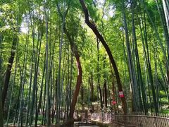 -杭州黄龙洞