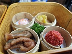 -广州都市观光巴士(粤陶巴)