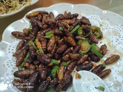 -南记食粥坊·宵夜大排档(莲花总店)