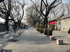 -北京国子监胡同
