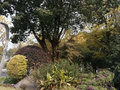 -昆山城市生态森林公园