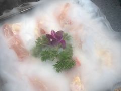 -马浜花园