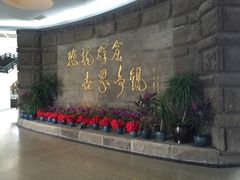 -自贡恐龙博物馆