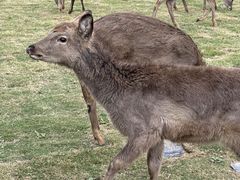 -盈香心动乐园