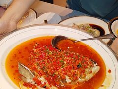 -T館·花园艺术餐厅