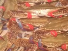 -山东八大碗山东老字号