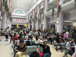 -上海交通大学医学院附属上海儿童医学中心(陆家嘴总院区)