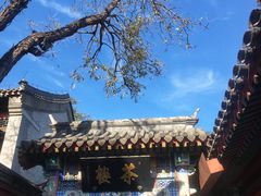 -楚畹园