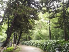 -菊花台公园