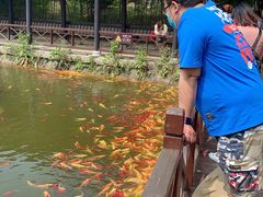 -武汉紫薇都市田园