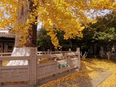 -常熟方塔园