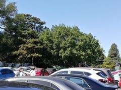 -紫竹院公园-东门停车场