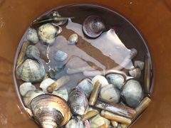 -北海金海湾红树林生态旅游区