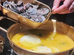 -Darling Queen·Mini·Live·House