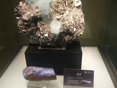 -中华赏石园