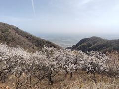 -阳台山自然风景区