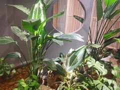 -邈墨茶馆(凤起路店)