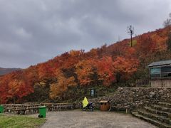 -龙道沟景区