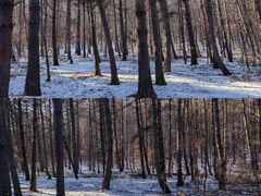 -帽儿山国家森林公园