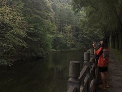 -洛阳白云山景区