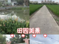 -美兰湖景区