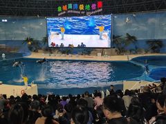 -泉城欧乐堡海洋极地世界