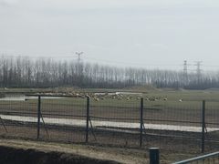 -溱湖国家湿地公园