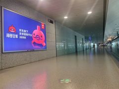 -上海浦东国际机场-T2航站楼