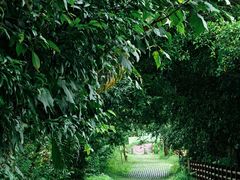 -红日饭店(裕隆三路店)