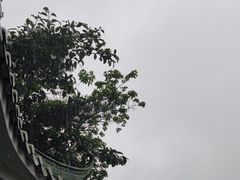 -广州市白云山风景名胜区