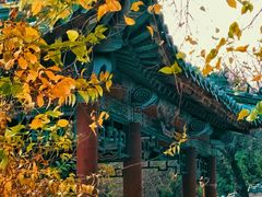 -北陵公园
