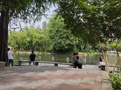-晓港公园