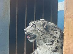 -青藏高原野生动物园