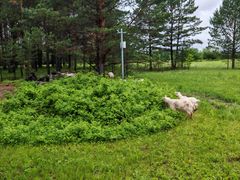 -北极村旅游风景区