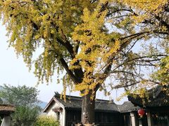 -无锡惠山寺