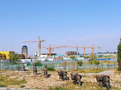 -霍尔果斯国门景区