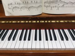 -知音艺术教育培训·钢琴培训·音乐培训(河西金鹰世界校区)