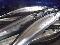 -七福日本料理