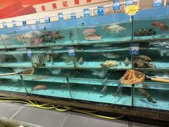 -强记海鲜·大排档(蛇口新街店)