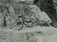 -狼牙山风景区
