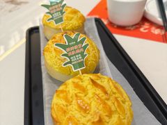 -羽鸽集·乳鸽专门店·地道顺德菜(岭南站店)