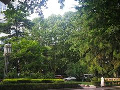 -西京医院