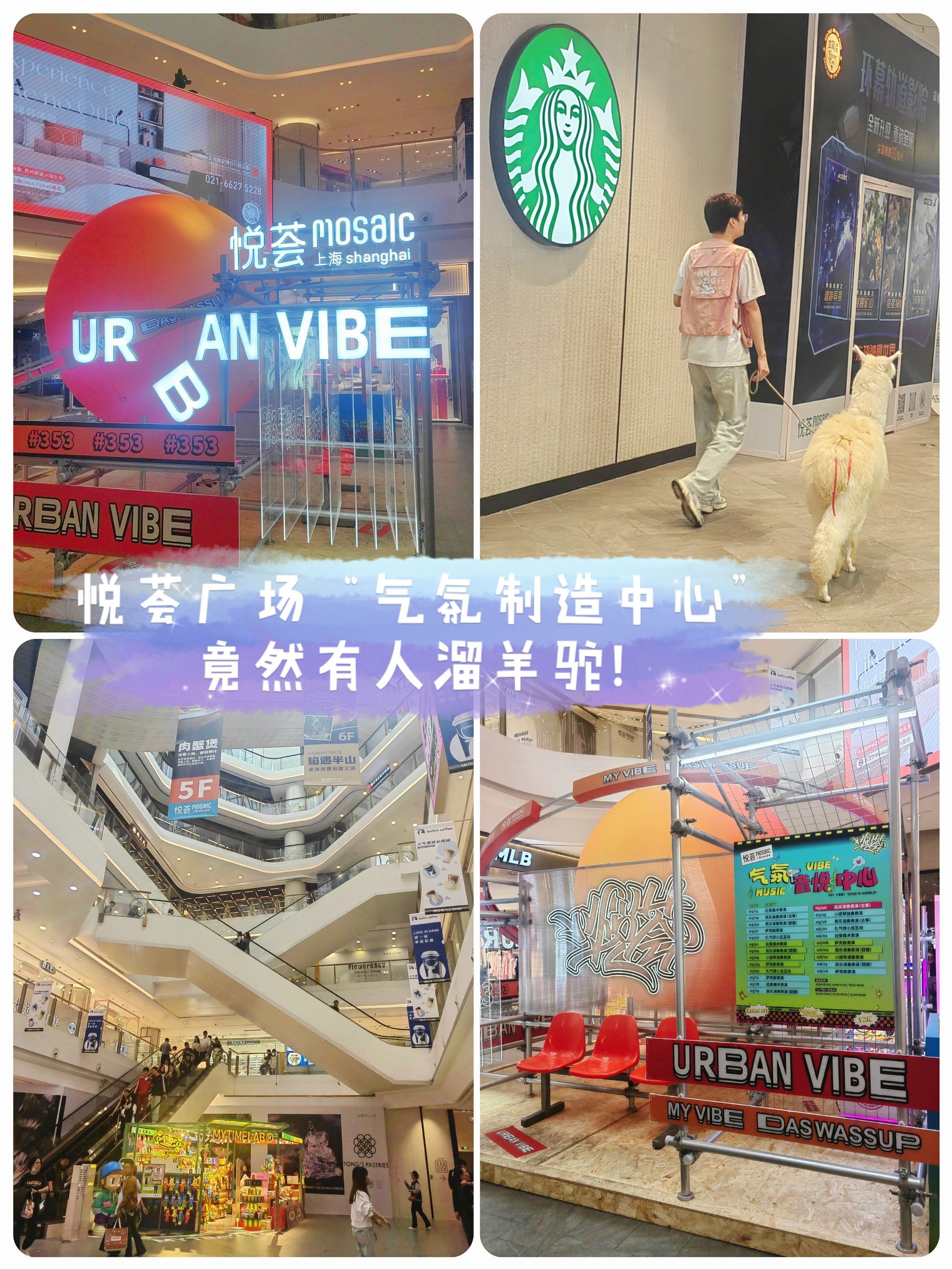 悦荟广场"气氛制造中心",竟然有人溜羊驼!