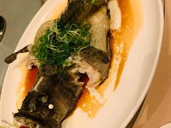 -金苑海鲜酒家(来魅力店)