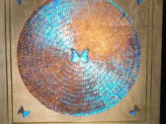 -上海昆虫博物馆