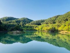 -广州白江湖森林公园